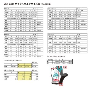 GSR_size2013.7