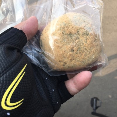 草もち
