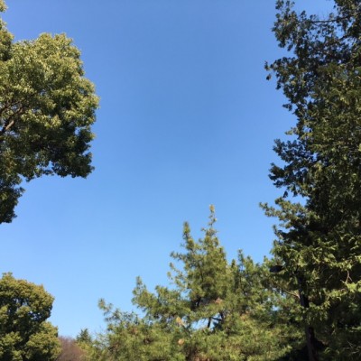 代々木公園
