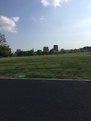 昭和記念公園芝生