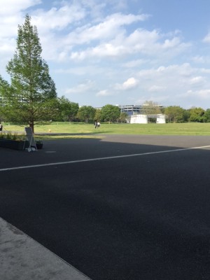 昭和記念公園舗装路
