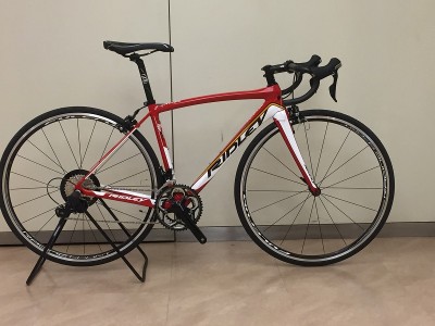 FENIX SL LOTO (1)