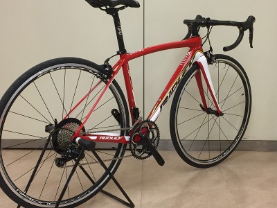 FENIX SL LOTO (3)