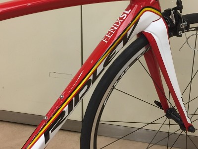 FENIX SL LOTO (4)