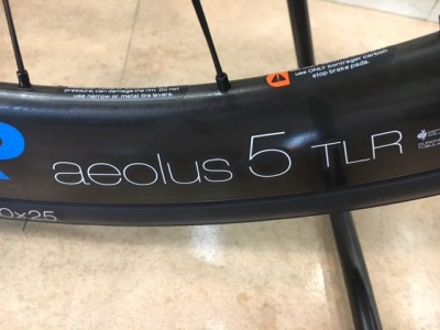 domane005