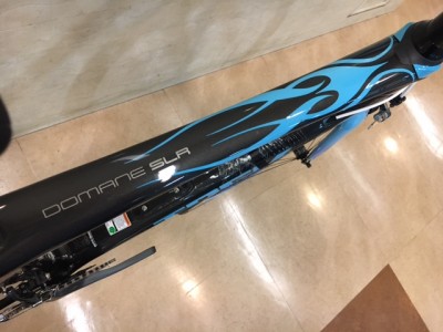 domane007