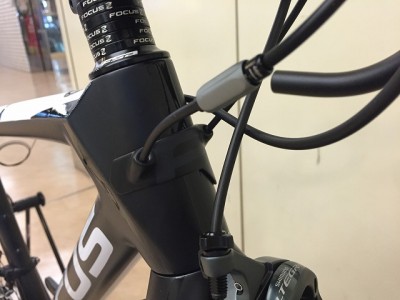 16-cayo-ultegra-6