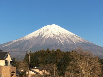 shiraito003