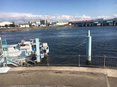 tsuru019