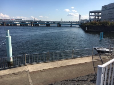 tsuru023