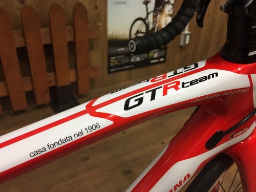 GTR TEAM限定車 (9)