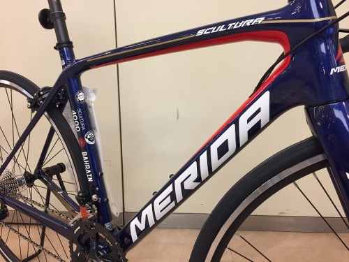 2018SCULTURA4000 (3)