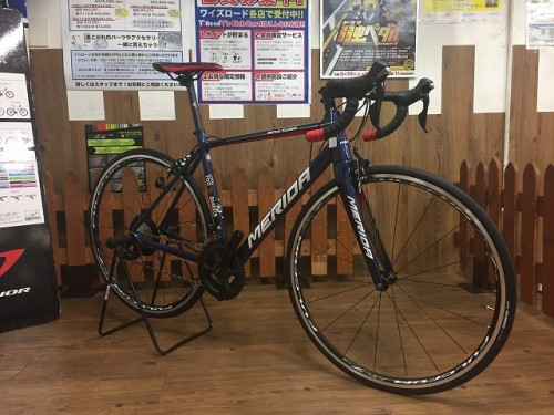 2018 SCULTURA700 (2)