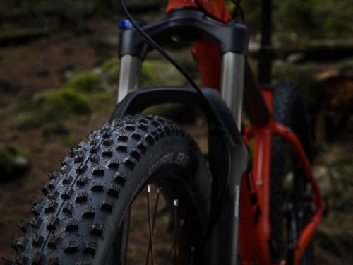 trek18_Roscoe8_03
