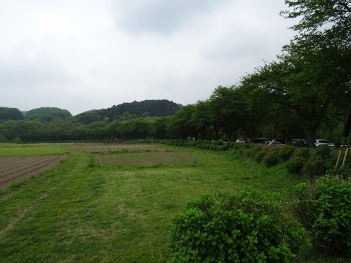 DSC01114