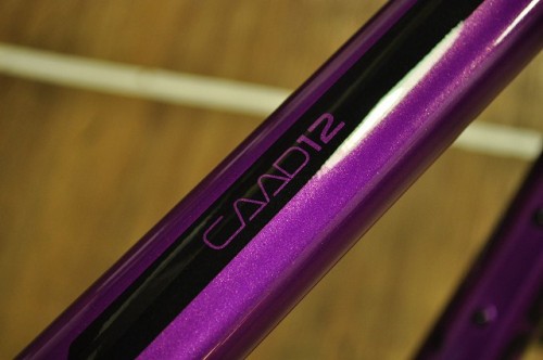 2019 CAAD12 105 DEEP PURPLE (2)