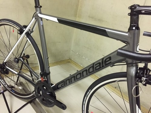 2019 CAADOPTIMO 105 (2)