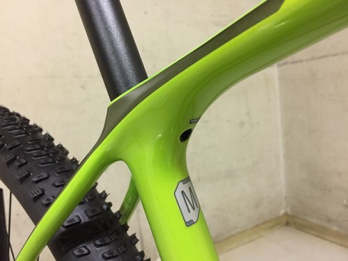 2019 F-Si CARBON5 (6)