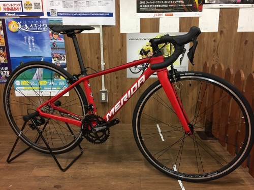 2019SCULTURA4100 (1)