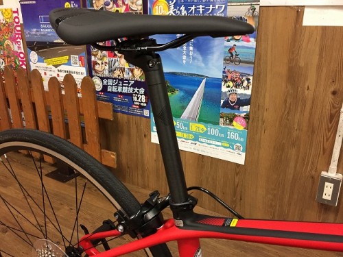 2019SCULTURA4100 (6)