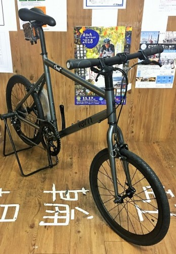TERN19CRESTGRY002