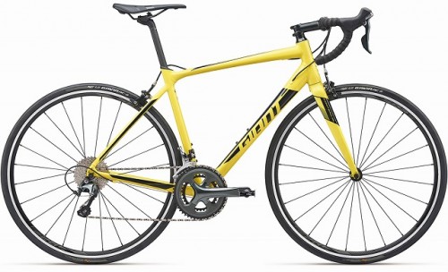 2019 CONTEND SL2(YEL)