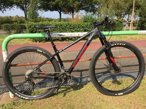 2019 VERTEX CARBON 50 (3)