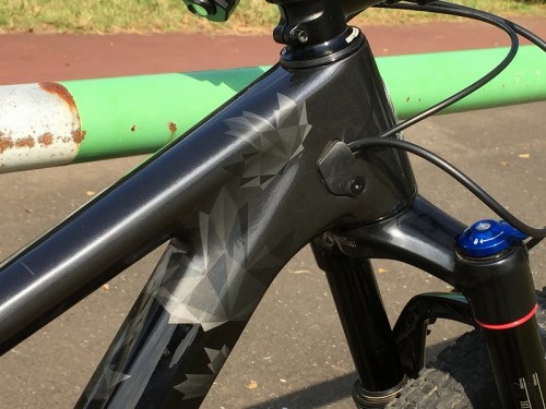 2019 VERTEX CARBON 50 (6)