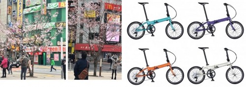SAKURABIKES001