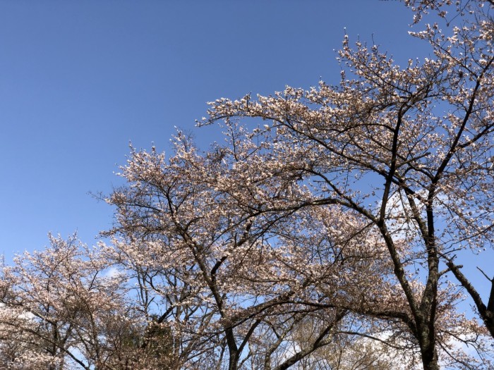 72B938D6-0A6A-479C-AD02-3D0637AB9DF7