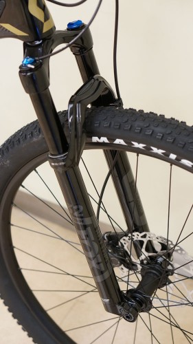 scott_19_scale920_03