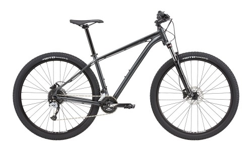 cannondale_20_Trail5_GRA
