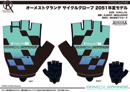 OG_06_CSG_2051s