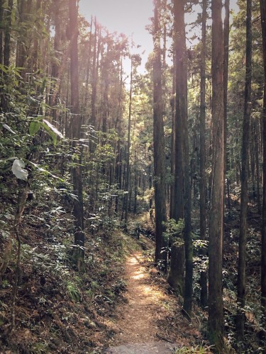 DeLa TRAIL（スタートアップキット）