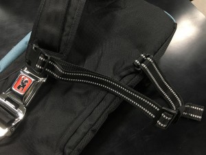 IMG_3739
