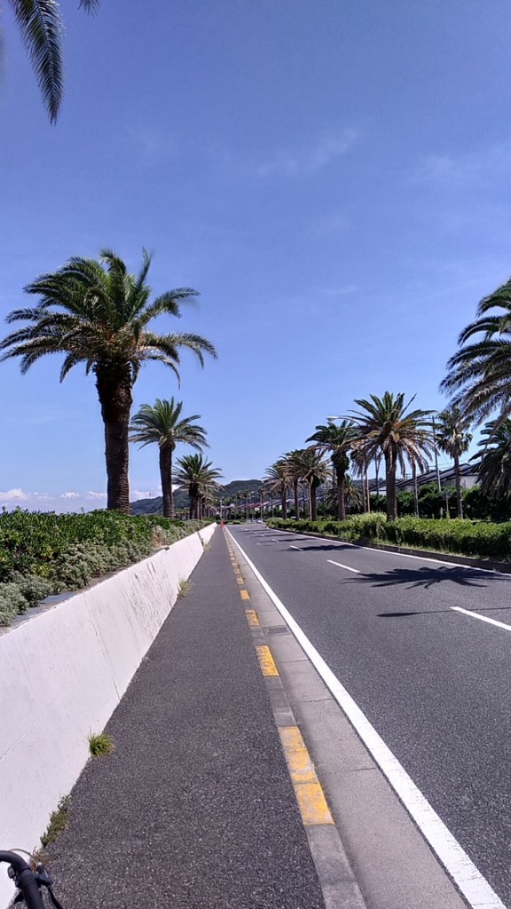 P_20190902_121610_vHDR_On