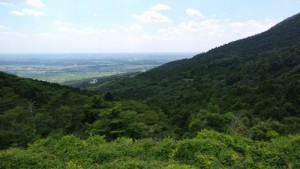 20170605_125708