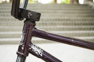 What I Ride - Jeff Ludwig