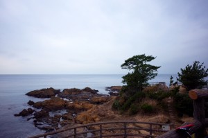 160201三浦ライドnakamura-03