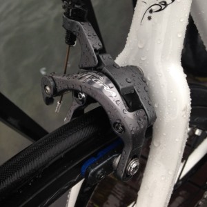 IMG_4100