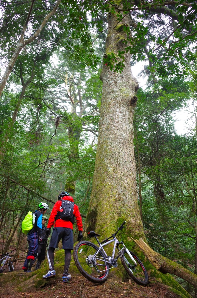 16MTB0328-02
