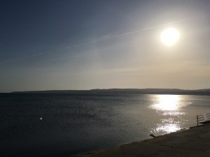 IMG_4456