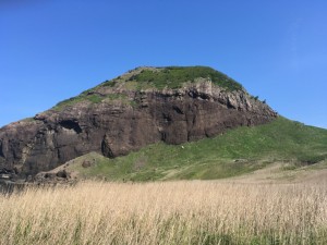 IMG_4514