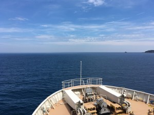 IMG_4558