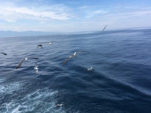 IMG_4572