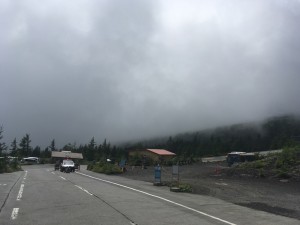 IMG_5341