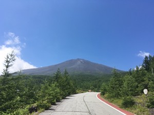 IMG_5349