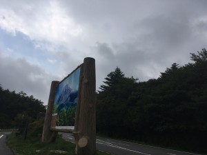 IMG_5361