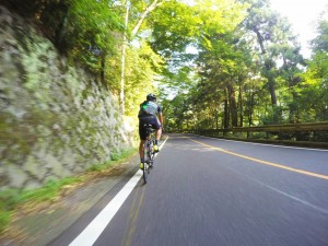 IMG_5447