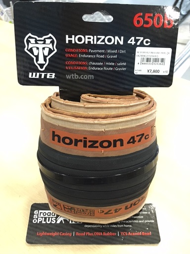 hzn (11)